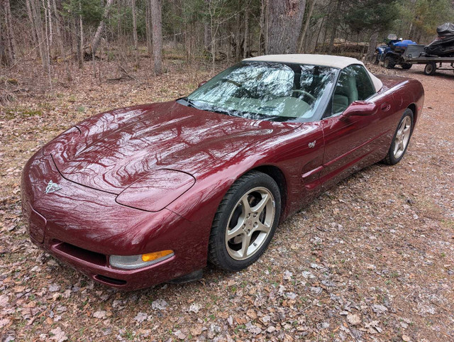 Corvette convertible  in Cars & Trucks in Ottawa