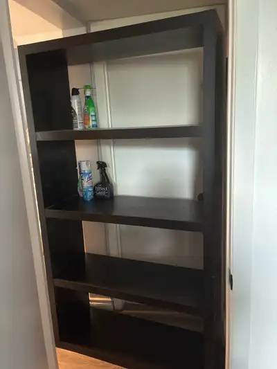 Classic shelving unit from IKEA.
