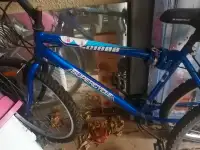 Mountain bike 