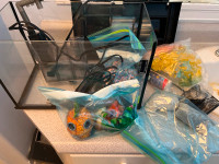 Fish tank and  accessories