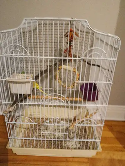 perruche et cage accessoires, View more