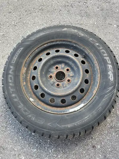 Set of 4 winter tires mounted on steel rims. Cooper Evolution 215/65 R16. Only used for 1 winter.