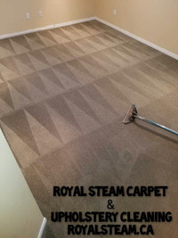 Carpet,Rug,Staircase Runner (Shampoo Wash,Clean)