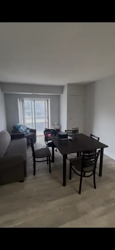 Spacious 1 bedroom 4 month Fall Sublet