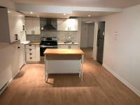 2 bedroom , 1 bath , completely renovated in Montreal