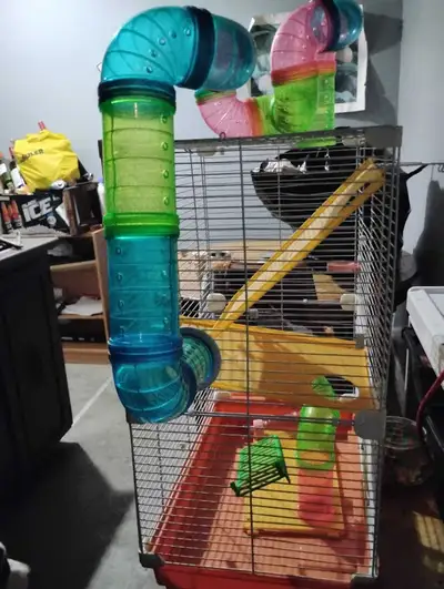 Hamster Cage, View more