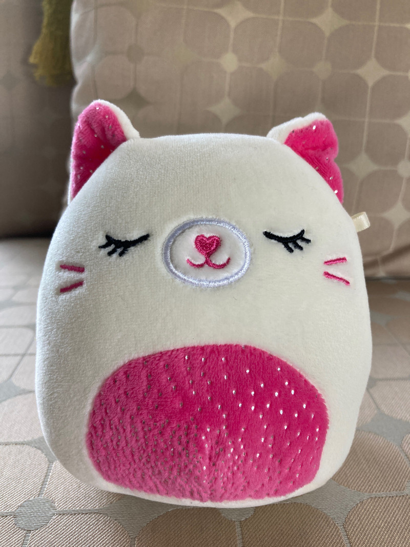 5” squishmallow Carmen cat stuffed toy plush squishmallows | Toys ...