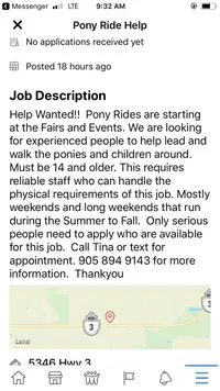 Pony Walkers wanted 