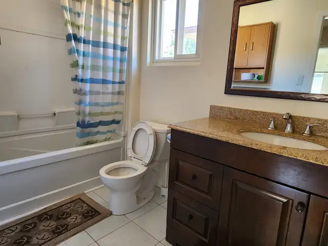 Brampton upper level single room for rent Bovaird /Bramalea