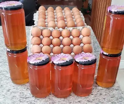 FREE  RANGE  FARM EGGS FOR SALE, View more