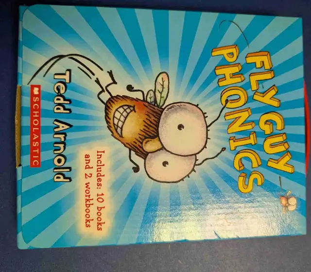 Fly Guy Phonics Books Box Set