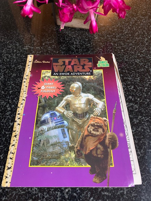 Star Wars An Ewok Adventure Golden Books 6-Panel Foldout 1997 in Arts & Collectibles in City of Halifax