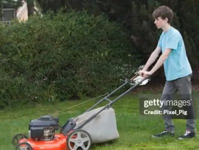 lawn mowing service, View more