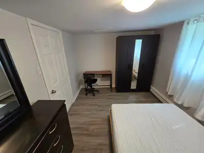 Seeking female tenant in 3 bedroom shared accommodation apartment. Located on a quiet street next to...