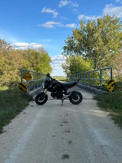 2014 Honda Grom Owned this bike since it had 260km Oil changes done every 8-900km Reliable as reliab...