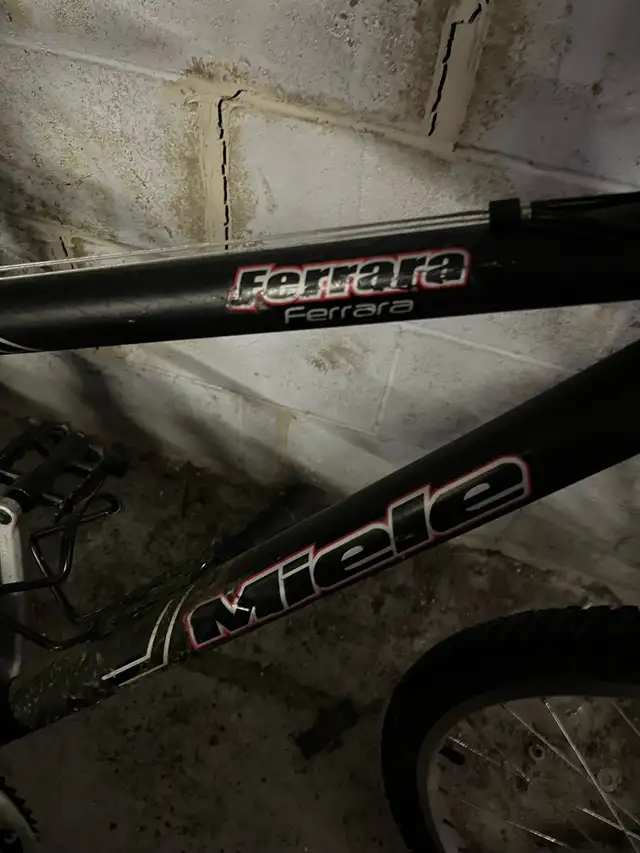 bicycle brand in Road in Markham / York Region - Image 3