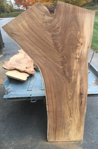 Live edge Siberian elm 