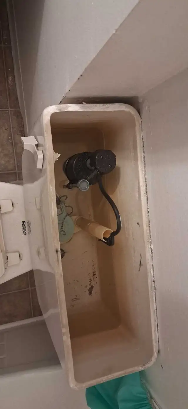 Property Maintenance