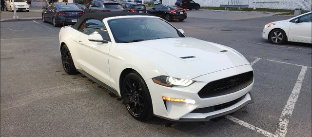 UNIQUE OXFORD WHITE 2018 FORD MUSTANG ECOBOOST PREMIUM CONVERTIB in Cars & Trucks in Gatineau - Image 2