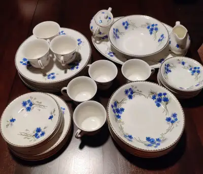 Vintage dinnerware set of 8, only 1 cup missing rest is complete. Brand is Portland Pottery Cobridge...