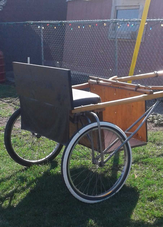 HORSE CART FOR SALE in Other in Belleville - Image 3