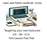 Learn Java  Python JavaScript interactively with own Tutor $15hr