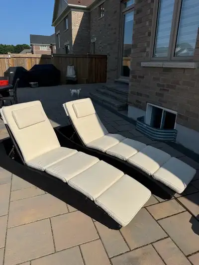 Lounge Chairs (2), View more