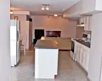 Large 1 bedroom basement suite