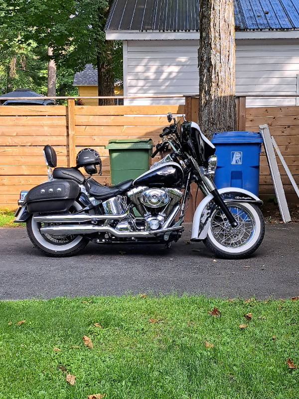 Moto Harley dans Routières  à Lanaudière - Image 2