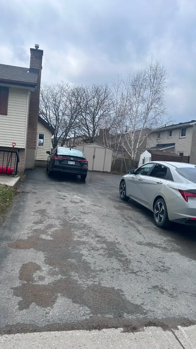 Private Room for Rent — Pure Veg Only | Belleville, ON in Room Rentals & Roommates in Belleville - Image 7