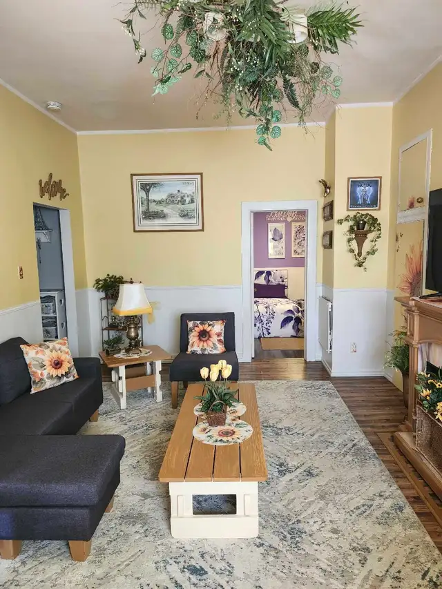 apartment for rent in Long Term Rentals in Woodstock - Image 5