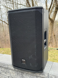 Electro-Voice EKX-12P 12-Inch Two-Way Powered Loudspeaker