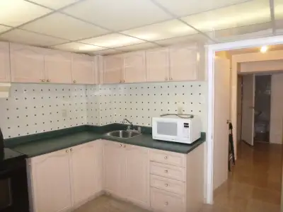 This walkout basement apartment has full bath; living; full kitchen and dinning area. The entrance i...