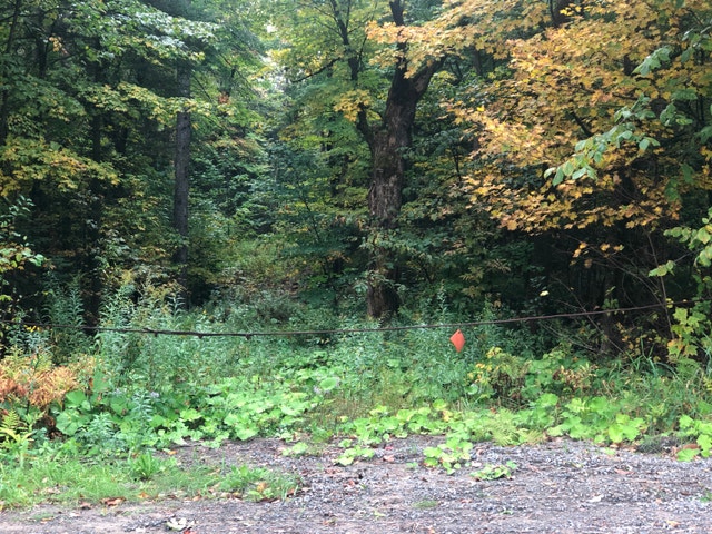Terrain a vendre a Lachute (très grand) — photo 2