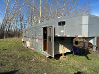 Norbert weekender horse trailer 