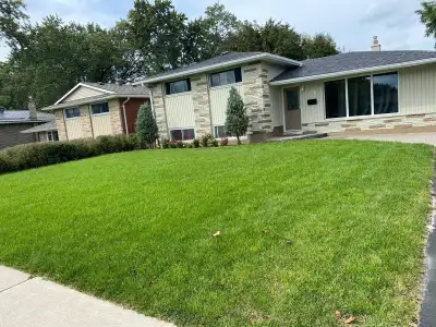 Beautiful house 3 bdrm 1 1/2 bath on quite street, nice neighborhood. Close to school, bus, shopping...