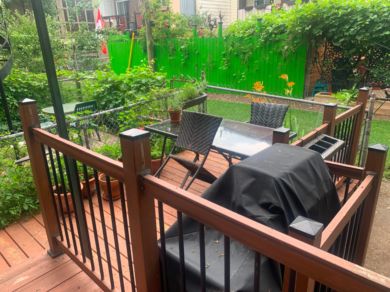 Large 4½ St-Henri Apartment + Private Patio + Pet Friendly — photo 1