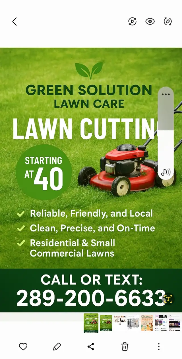 Green Solution grass cutting CALL 289200663363235243250051124
