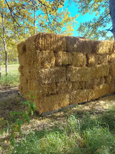 We have wheat straw bales for sale. Over 70 bales left. Freshly baled end of September 2026 Please t...