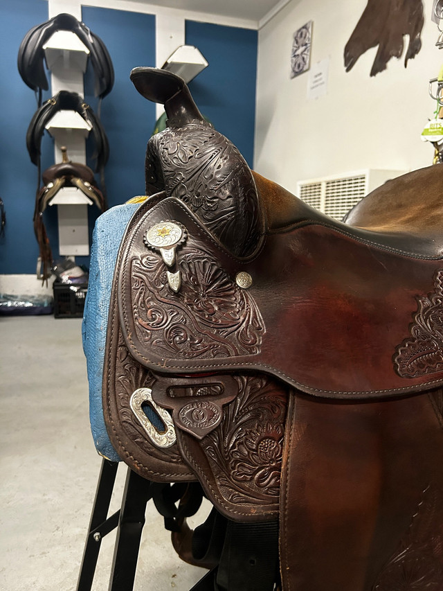 15.5” Circle Y Western Saddle  in Equestrian & Livestock Accessories in Comox / Courtenay / Cumberland - Image 4