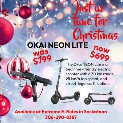 JUST IN TIME FOR CHRISTMAS!, View more