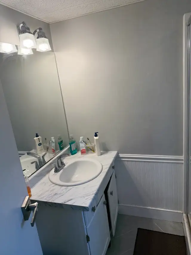 one bedroom basement suite in Long Term Rentals in Delta/Surrey/Langley - Image 8