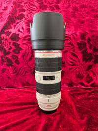 Canon EF 70 200 mm 2.8 IS II USM Lens