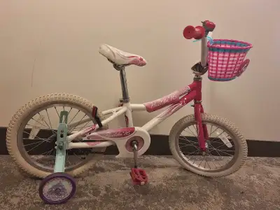 Kids bike with training wheels.