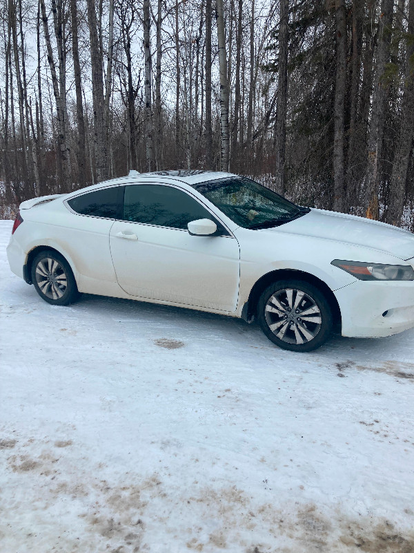 2009 Honda accord in Cars & Trucks in Edmonton