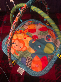 Baby Playmat 10$