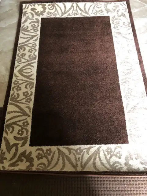Area Rug in Rugs, Carpets & Runners in Ottawa - Image 2