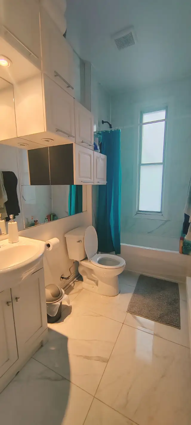 Grande chambre sur le Plateau – coloc 4 personnes – dispo mi-déc in Room Rentals & Roommates in City of Montréal - Image 8