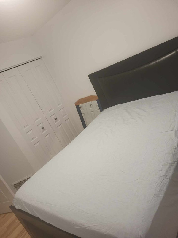 Colocation/ Sublet in Room Rentals & Roommates in Gatineau - Image 4