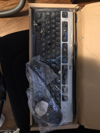 HP keyboard and mouse (not wireless)